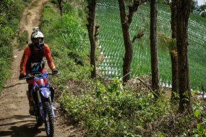 Put business name here